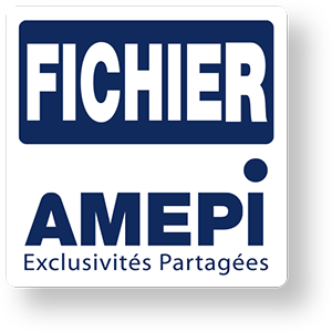 Logo fichier amepi